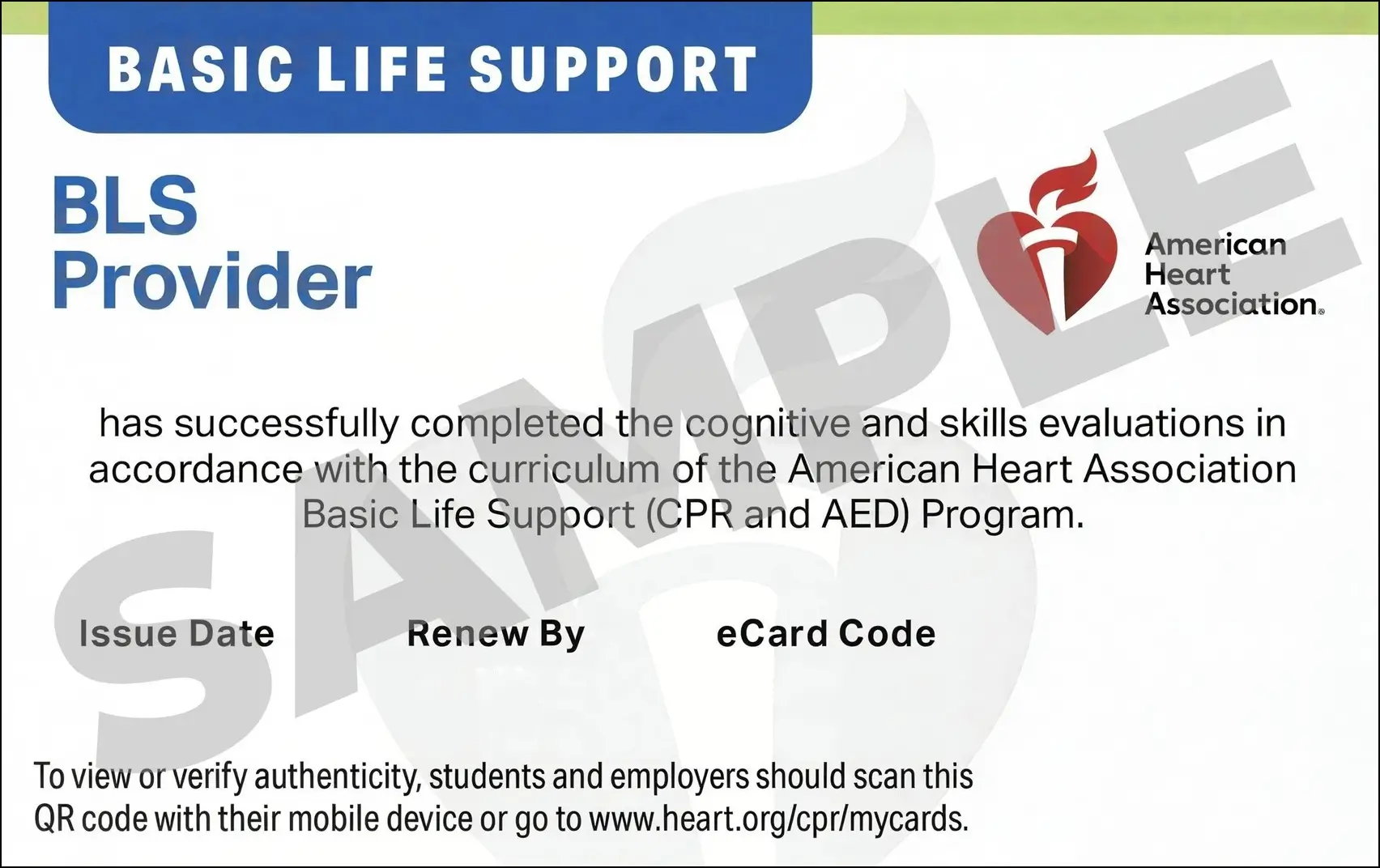 Sample American Heart Association AHA BLS CPR Card Certification from CPR Certification Virginia Beach